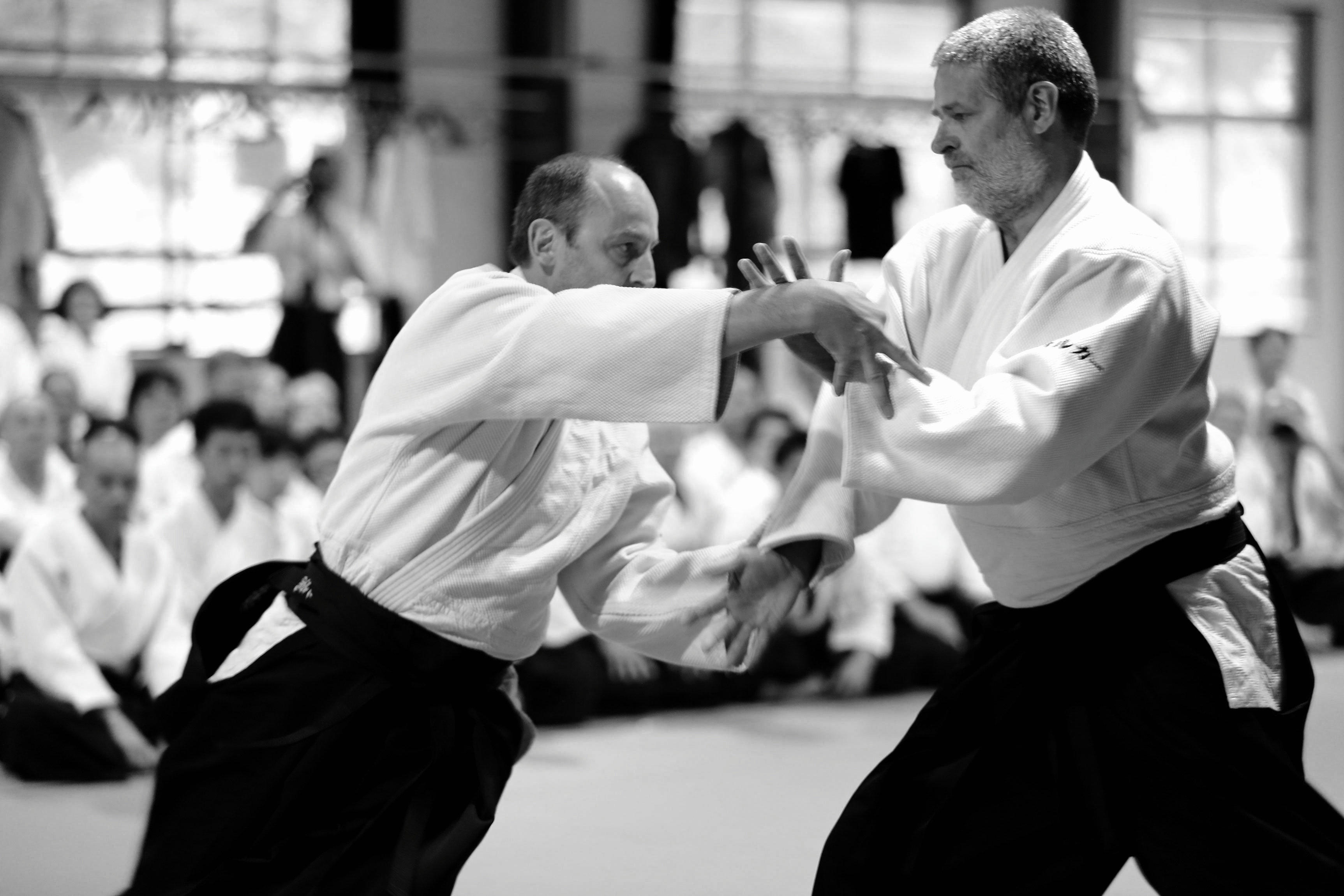 Josef und Volker beim Tendo World Seminar Japan